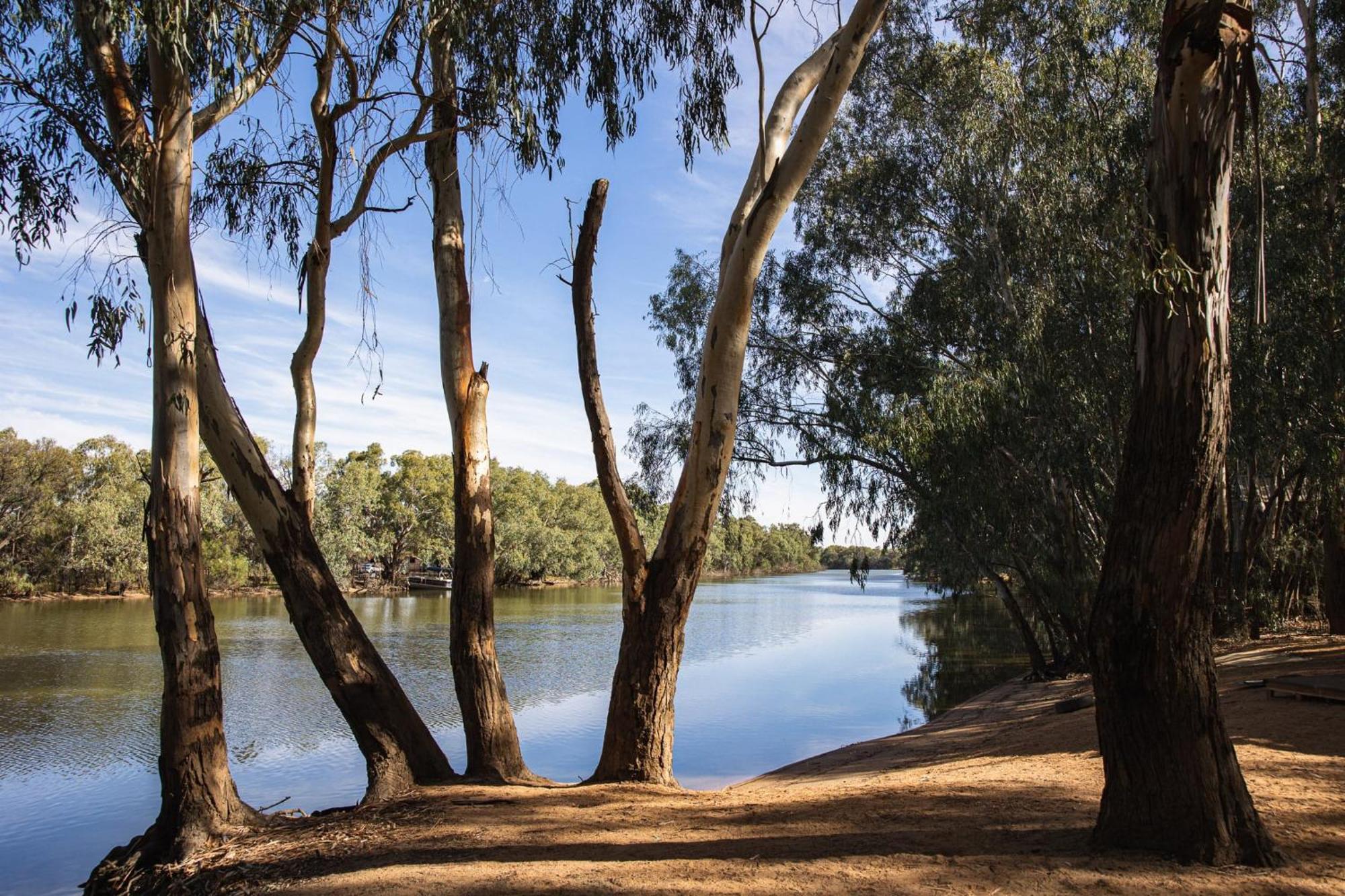 Nyngan Riverside Tourist Park Hotel Exterior photo